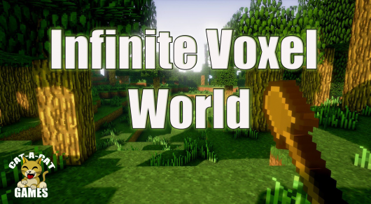 Infinite Voxel World