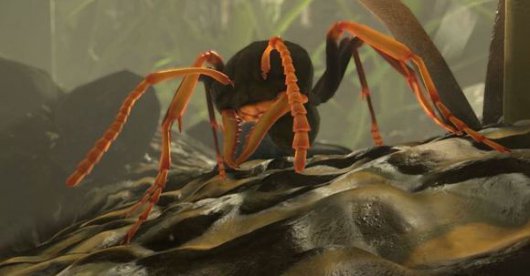 Ant-Simulator
